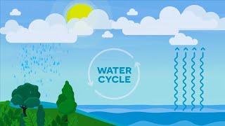 How to make a Water Cycle at home [upl. by Nileek654]