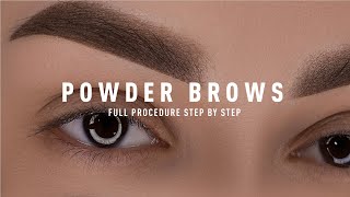 Permanent MakeUp Powder Brows Tutorial  Updated 2024  pmu permanentmakeup [upl. by Modeste]