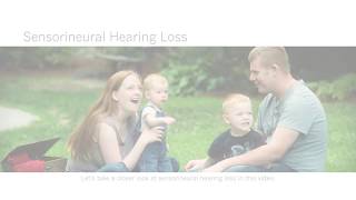 Sensorineural Hearing Loss English [upl. by Carleen893]