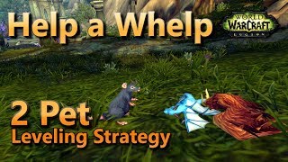 Help a Whelp Pet Battle World Quest Defeat the Scavenging Critters 2 Pet Leveling Strategy [upl. by Iila]