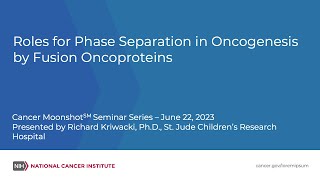 Roles for Phase Separation in Oncogenesis by Fusion Oncoproteins [upl. by Arodnap448]