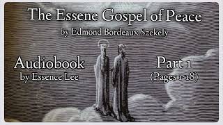 The Essene Gospel of Peace  Audiobook  Book One Part 1 of 2 [upl. by Imeaj]