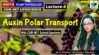 TRANSPORT OF AUXIN  PHYTOHORMONE PART4CSIR NET PLANT BIOLOGY [upl. by Aiuqes]