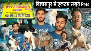 jeet aquarium bilaspur  bilaspur cat shop  pet shop in bilaspur chhattisgarh  cat shop near me [upl. by Dixie372]