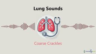 Lung Sounds Coarse Crackles [upl. by Cedric]