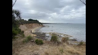 Corinella Foreshore Walks [upl. by Asaeret53]