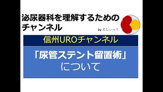 尿管ステント留置術を説明します。 [upl. by Maharba]