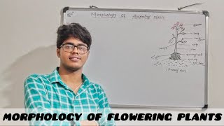 Morphology Of Flowering Plants Part  1 biology morphologyoffloweringplants botany [upl. by Attaynik811]