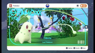 How to find Chikorita in Pokémon Scarlet and Violet The Indigo Disk [upl. by Ynattib]