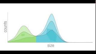 Einführung in die Messmethode von ParticleTrack [upl. by Remde]