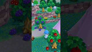 Animal Crossing  Collecting Gyroids animalcrossingpocketcamp animalcrossing acpc [upl. by Alidia121]