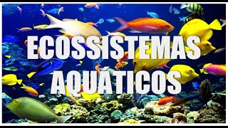 Ecossistemas aquáticos  Zona costeira Mangue Costão rochoso e Restinga [upl. by Anot]