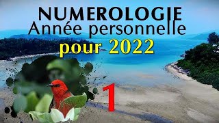 NUMEROLOGIE N° 19 Prévisions année personnelle 1 [upl. by Cherin]