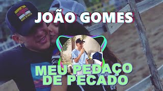 JOÃO GOMES  MEU PEDAÇO DE PECADO PISEIRO DE VAQUEJADA  Prod VitinhoTeclas [upl. by Rollo152]