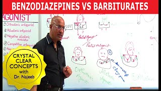 Benzodiazepines Vs Barbiturates  Pharmacology  Dr Najeeb Lectures [upl. by Eillor]