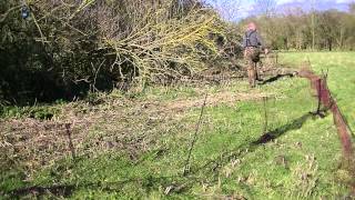 Ferreting Single Handed  East Anglian Pest Control [upl. by Trab]