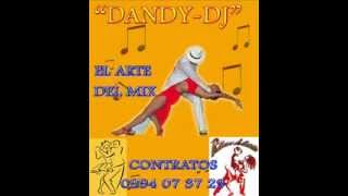 SALSA MIX SONORA CARRUSEL quotDANDY DJ MIXquot [upl. by Alekal]