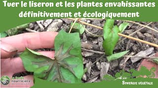 Tuer le liseron et les plantes envahissantes définitivement et écologiquement [upl. by Melita675]