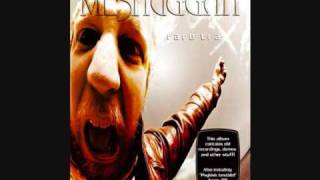 Meshuggah  War [upl. by Leirud]