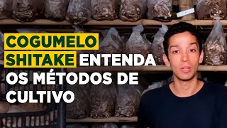 COGUMELO SHITAKE DESENVOLVIMENTO TECNOLÓGICO E MÉTODOS DE CULTIVO [upl. by Mcdowell]