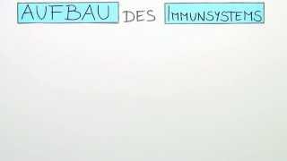 Aufbau des Immunsystems Teil I  Die unspezifische Abwehr  Biologie  Humanbiologie [upl. by Naloj477]