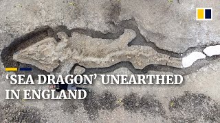 Massive 180millionyearold ‘sea dragon’ fossil unearthed in England [upl. by Anthea]