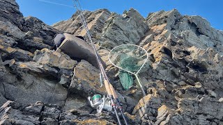 uk lure fishing 💥 explosive wrasse fishing on lures Anglesey fishing  fishing quality moments [upl. by Yerroc496]