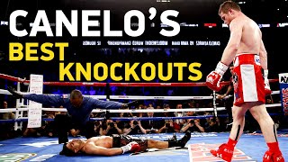 Best Knockouts Of Canelo Alvarez Boxing HD [upl. by Harmonie]