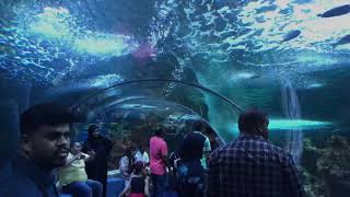 Jeddah aquarium fakieh [upl. by Clari315]