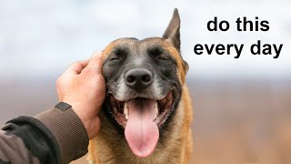 12 Scientific Ways To Get Your Dog To Love You The Most [upl. by Atwood]