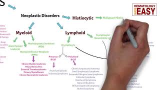 WBC Disorders ClassificationLeukocytosisLeukopeniaLeukemiaLymphoma [upl. by Naimerej642]