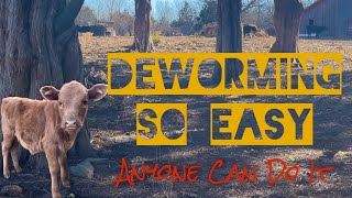 Cattle Dewormer The Easy Way [upl. by Fabi]