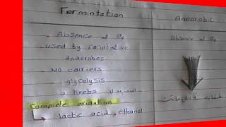 3 Bacterial Growth  Microbiology  Drmar3y [upl. by Lebar254]