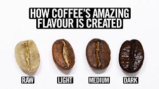 Coffee Roasting Explained [upl. by Sauers851]