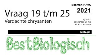 Biologie examen Havo 2021 1e tijdvak vraag 19 tm 25 [upl. by Elinet605]