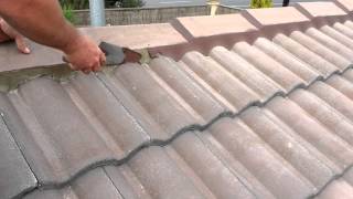 Roof Repoint  Roof Restoration Blacktown [upl. by Reifinnej391]