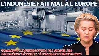 Que Se Passetil Quand LEurope Manque De Nickel  Explication Du Coup De Théâtre DIndonésie [upl. by Pontus350]