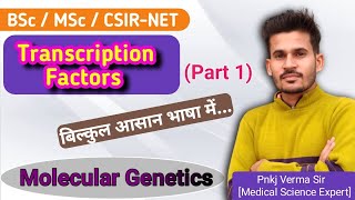 Transcription Factors  Promoters Enhancers Repressors  हिंदी में  BSc MSc CSIRNET [upl. by Eizzo440]