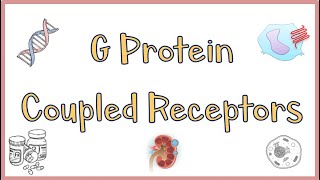 G Protein Coupled ReceptorsGPCRs  Structure Function Mechanism of Action Everything [upl. by Eislel761]