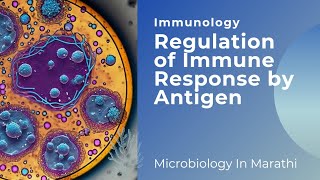 Regulation of Immune Response by Antigen  Immunology  Microbiology In Marathi [upl. by Ingmar522]