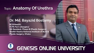 Anatomy Of Urethra  Anatomy  Dr Md Bayazid Bostamy  GENESIS ONLINE UNIVERSITY [upl. by Nwahsad640]