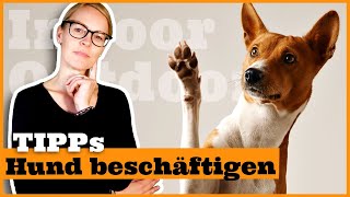 Hund zu Hause geistig beschäftigen I Beschäftigungstipps für den Hund I Indoor und Outdoor [upl. by Idnaj260]