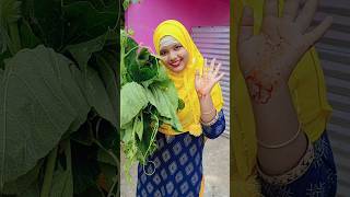 Muslim style pumpkin leaves vegetable recipe 🎃🎃🎃 recipe vegetables shorts [upl. by Niemad776]