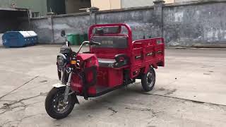 Zonlon Tricycle Motorcycletricycle motocycle motorcycles [upl. by Orecic506]