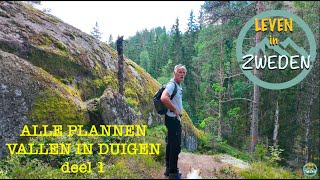 LEVEN IN ZWEDEN alle plannen vallen in duigen [upl. by Arondell426]