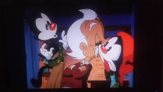 Animaniacs S01E10 Cookies for Einstein Part 1 [upl. by Tedmund]