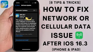 How to Fix Network or Cellular Data Issues on iOS 165 [upl. by Yot763]