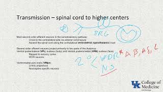 Pain ITE Keywords  Dr Craig [upl. by Natika]