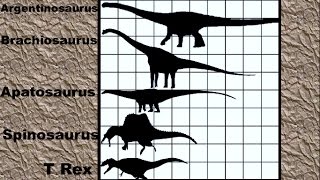 Dinosaur Size Comparison 2D [upl. by Oiramat]