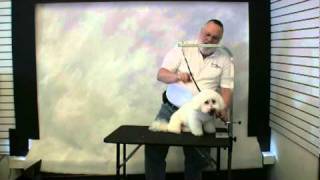 Groomers Helper  Quick Start Training [upl. by Kola]